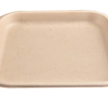 Chuk Bagasse 11