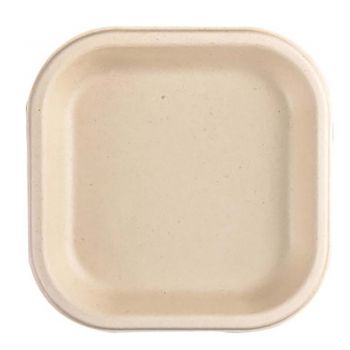 Chuk Bagasse 7