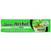 Dabur Herbal Neem Toothpaste 100ml 